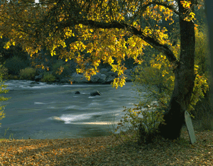 Beautiful Whitewater Excitement Campsite River View